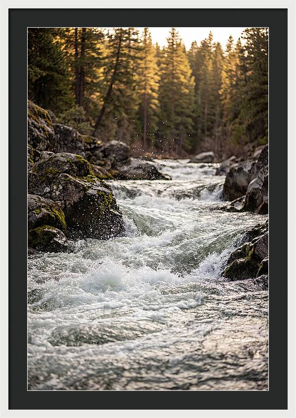River Rapids Serenity