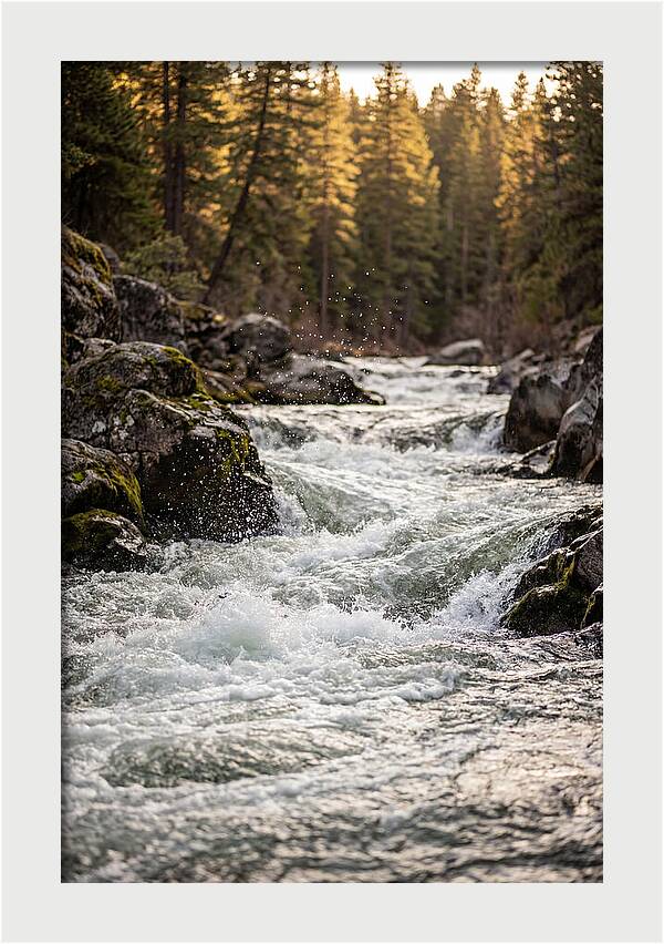 River Rapids Serenity