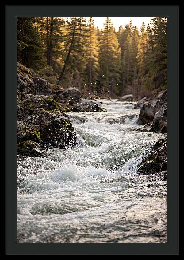 River Rapids Serenity