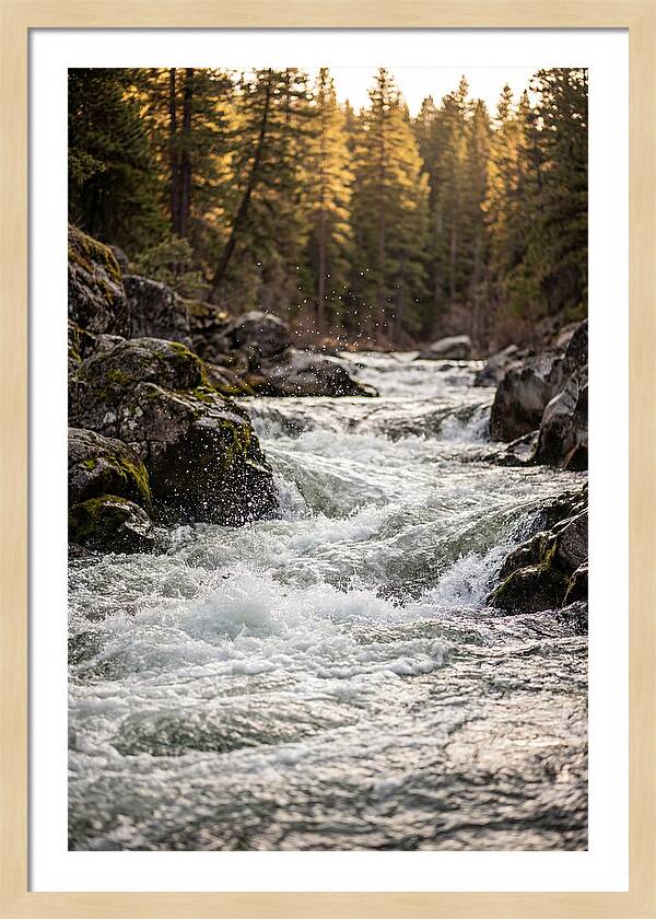 River Rapids Serenity