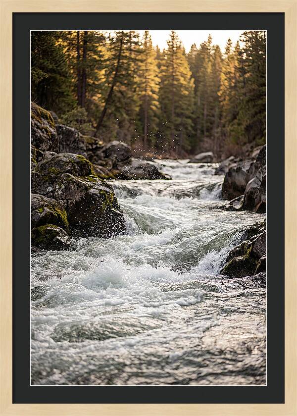 River Rapids Serenity