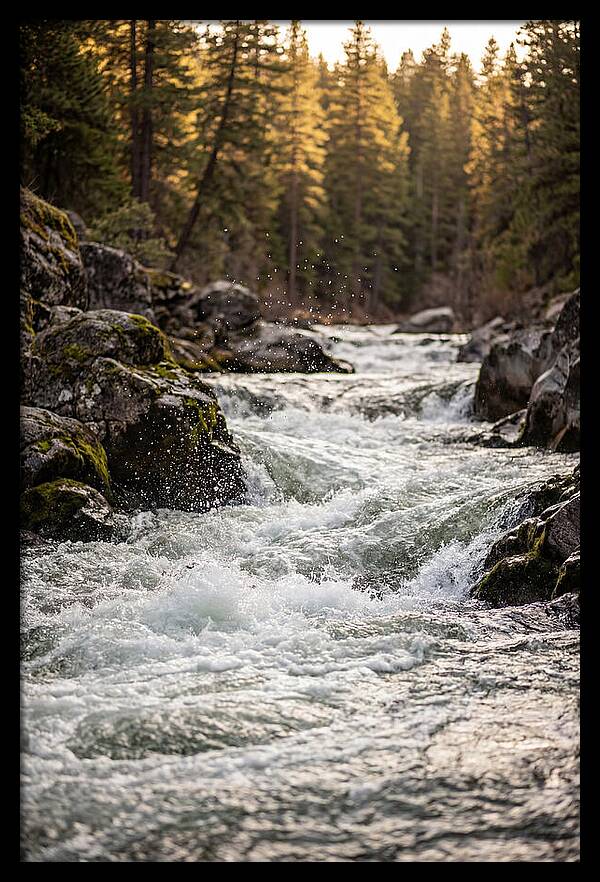 River Rapids Serenity