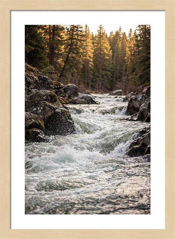 River Rapids Serenity