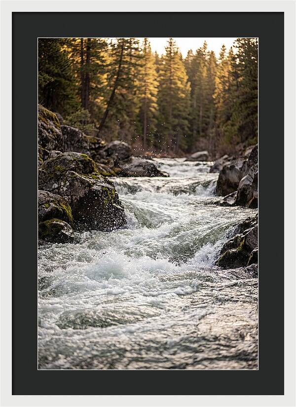 River Rapids Serenity