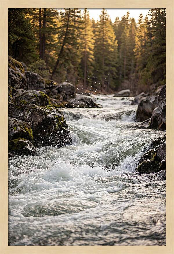 River Rapids Serenity