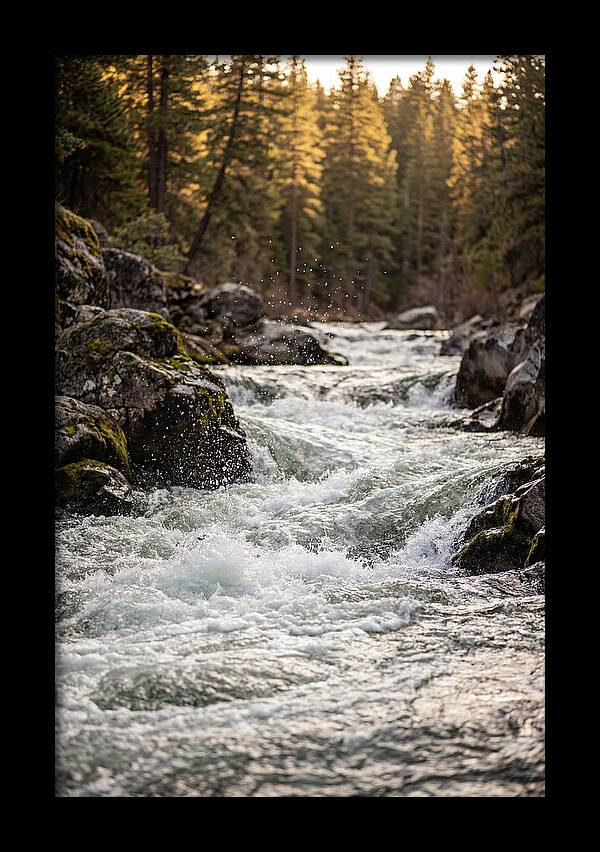 River Rapids Serenity