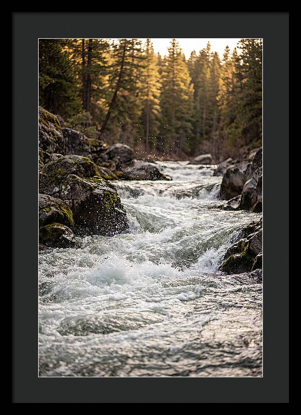 River Rapids Serenity