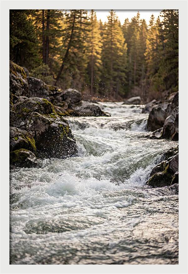 River Rapids Serenity