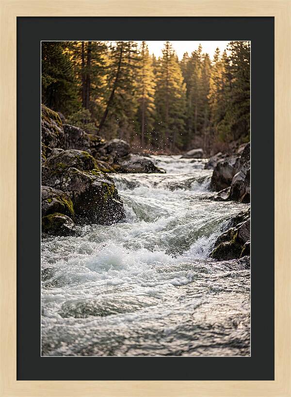 River Rapids Serenity