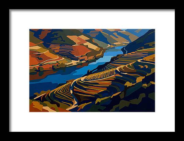 River Valley With Vineyards