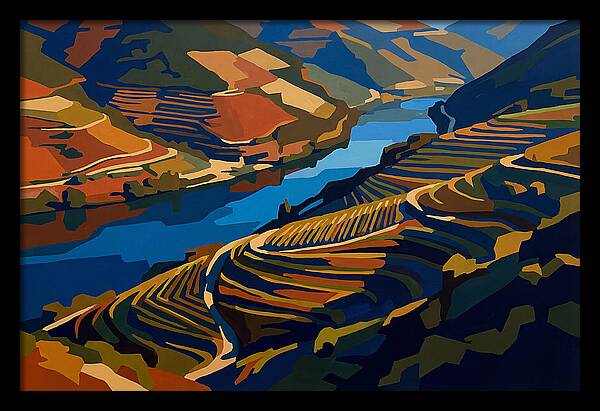 River Valley With Vineyards