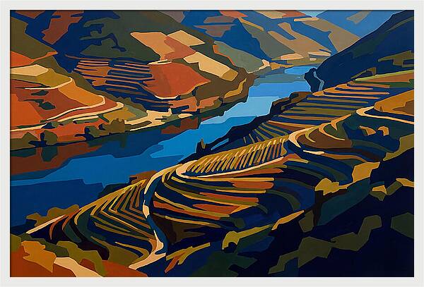 River Valley With Vineyards