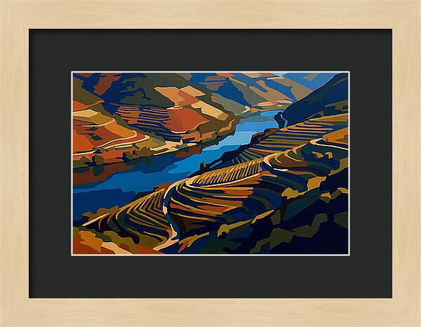 River Valley With Vineyards