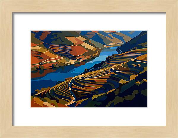 River Valley With Vineyards