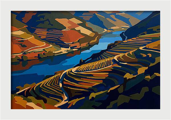 River Valley With Vineyards