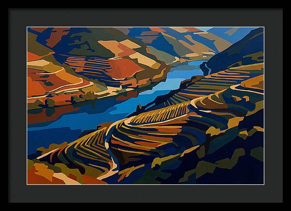 River Valley With Vineyards