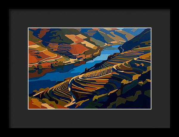 River Valley With Vineyards