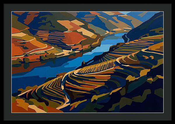 River Valley With Vineyards