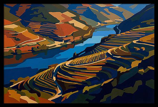 River Valley With Vineyards
