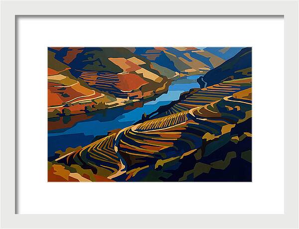 River Valley With Vineyards