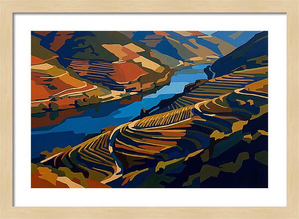 River Valley With Vineyards