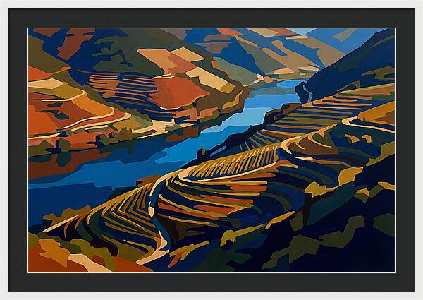 River Valley With Vineyards