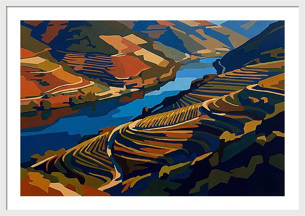 River Valley With Vineyards