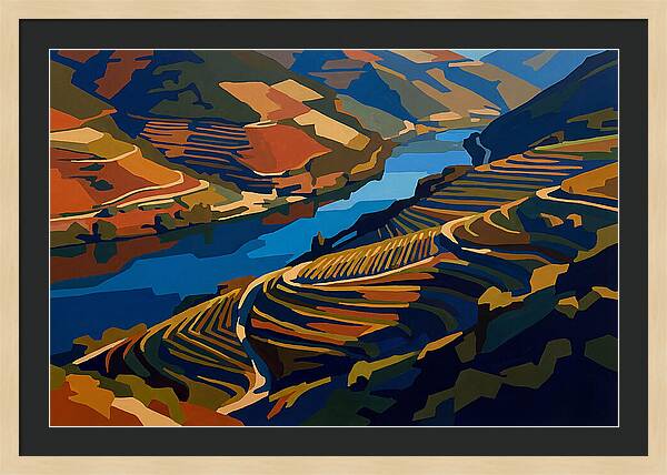 River Valley With Vineyards