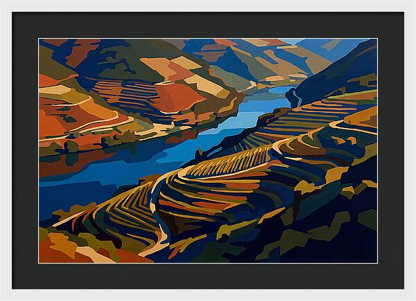 River Valley With Vineyards