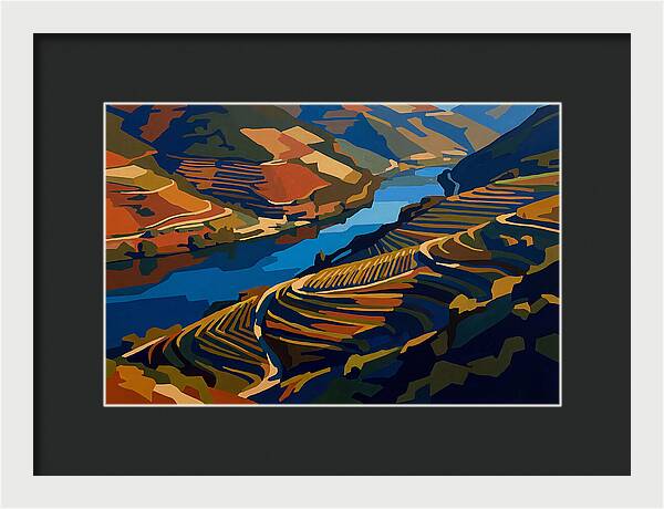 River Valley With Vineyards