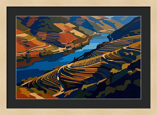 River Valley With Vineyards