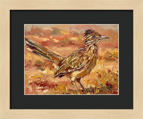 Roadrunner In The Desert Sunlight