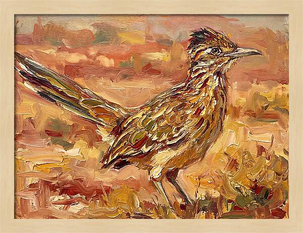 Roadrunner In The Desert Sunlight