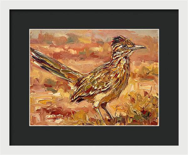 Roadrunner In The Desert Sunlight