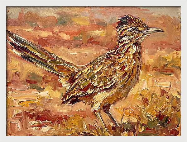 Roadrunner In The Desert Sunlight