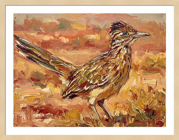 Roadrunner In The Desert Sunlight