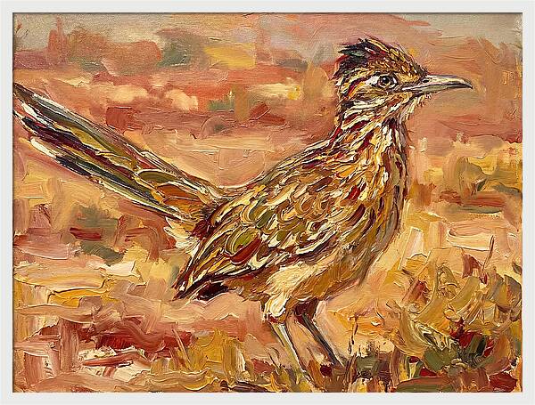 Roadrunner In The Desert Sunlight