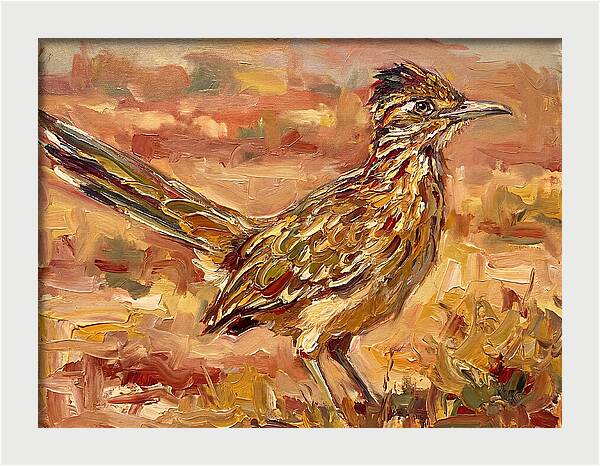 Roadrunner In The Desert Sunlight