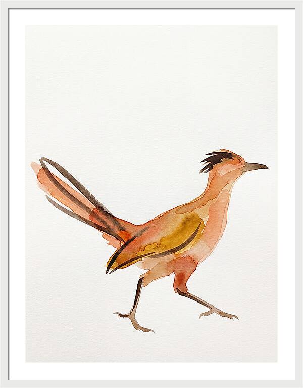 Roadrunner In Watercolor Style