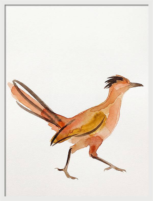 Roadrunner In Watercolor Style