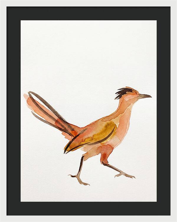 Roadrunner In Watercolor Style