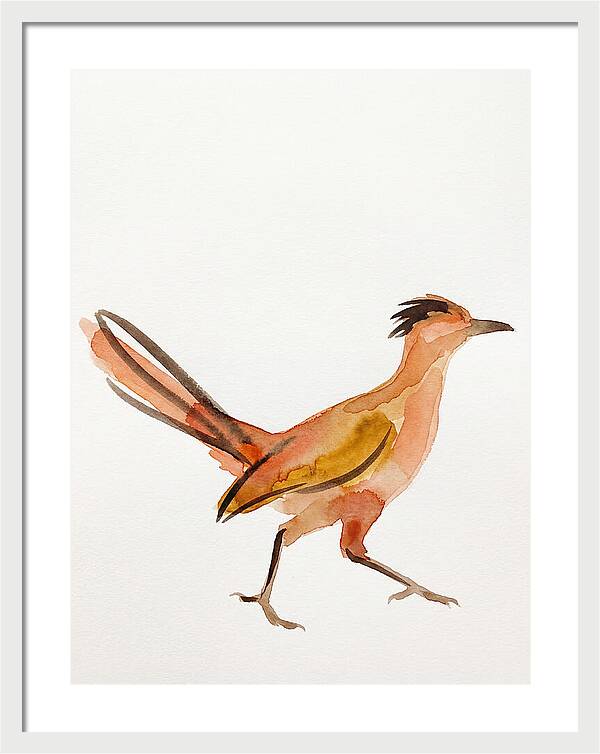 Roadrunner In Watercolor Style
