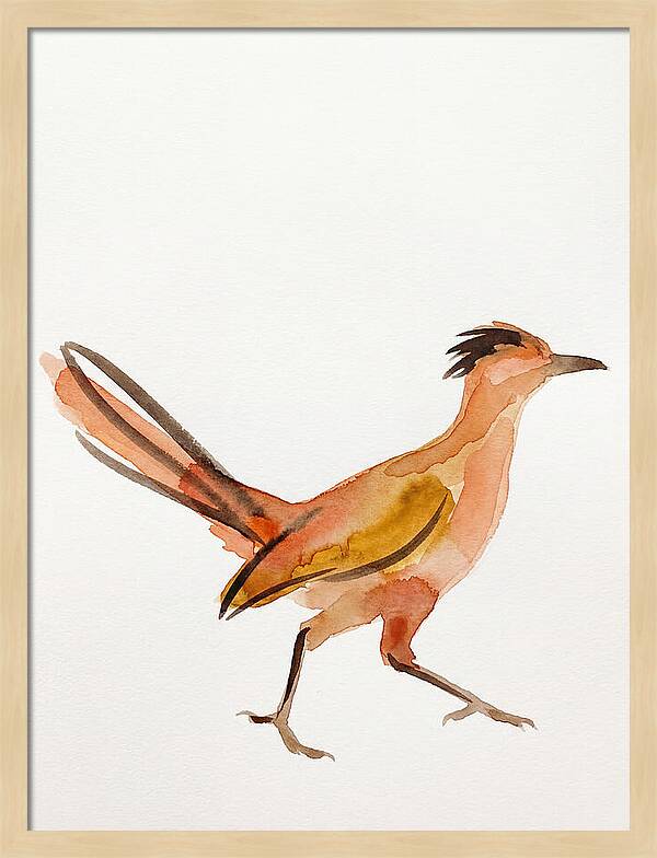 Roadrunner In Watercolor Style