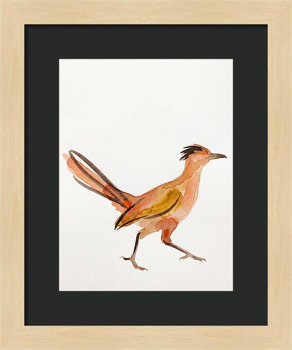 Roadrunner In Watercolor Style