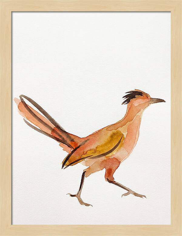 Roadrunner In Watercolor Style