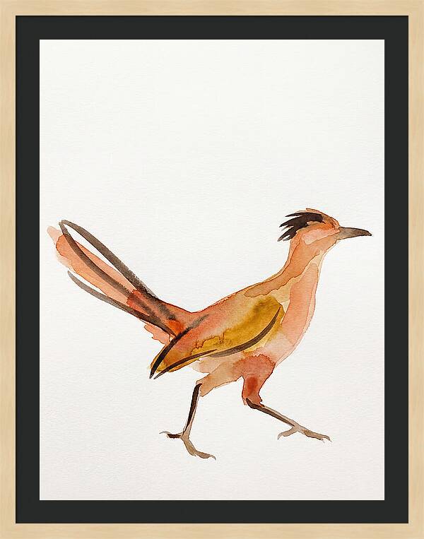 Roadrunner In Watercolor Style