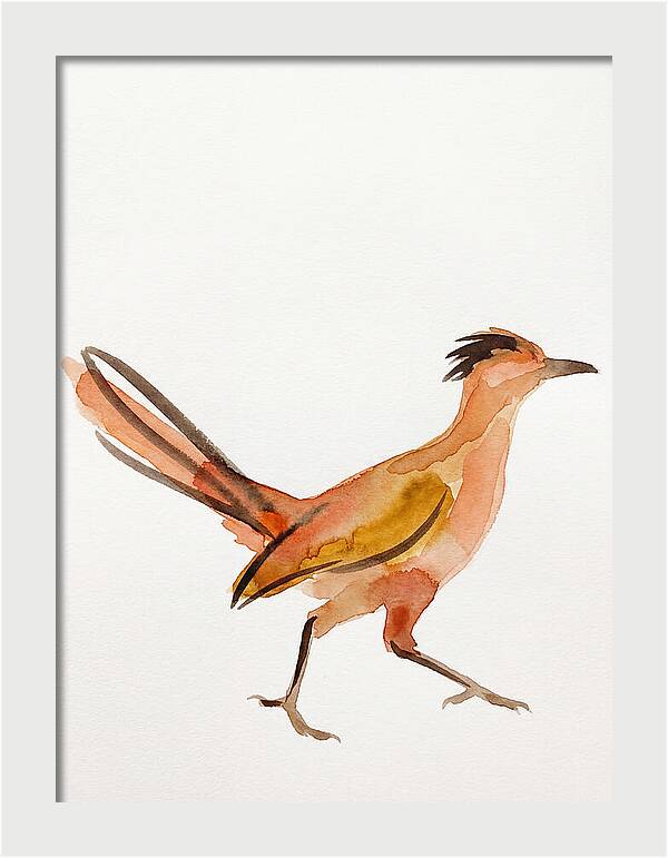 Roadrunner In Watercolor Style