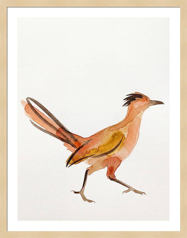 Roadrunner In Watercolor Style