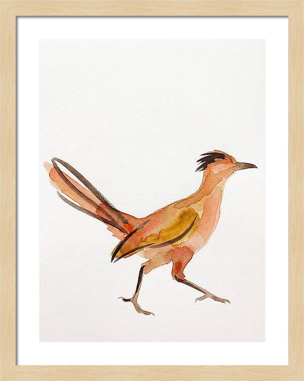 Roadrunner In Watercolor Style