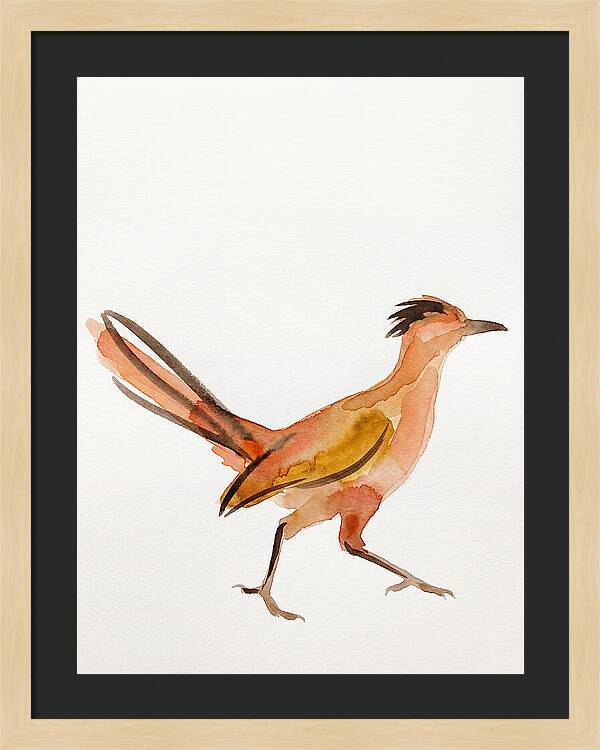 Roadrunner In Watercolor Style